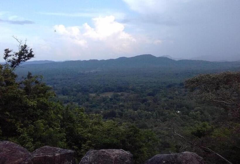 اتاق اکونومی, Elephant Safari Lodge Sigiriya Junction