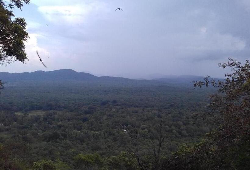اتاق اکونومی, Elephant Safari Lodge Sigiriya Junction