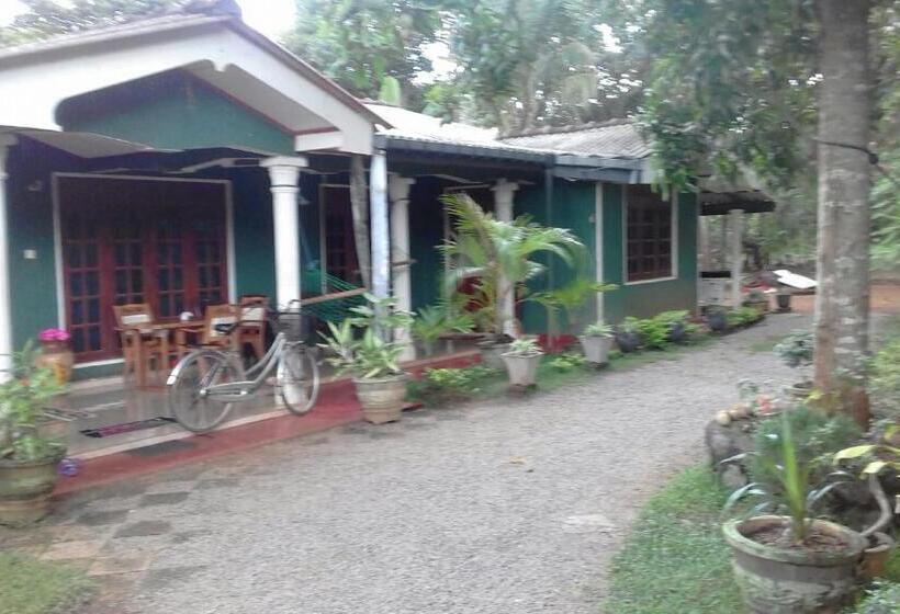 اتاق اکونومی, Elephant Safari Lodge Sigiriya Junction