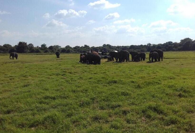 اتاق اکونومی یک تخته, Elephant Safari Lodge Sigiriya Junction