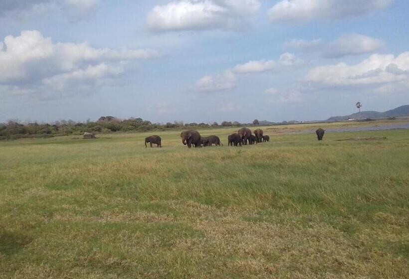 اتاق اکونومی یک تخته, Elephant Safari Lodge Sigiriya Junction