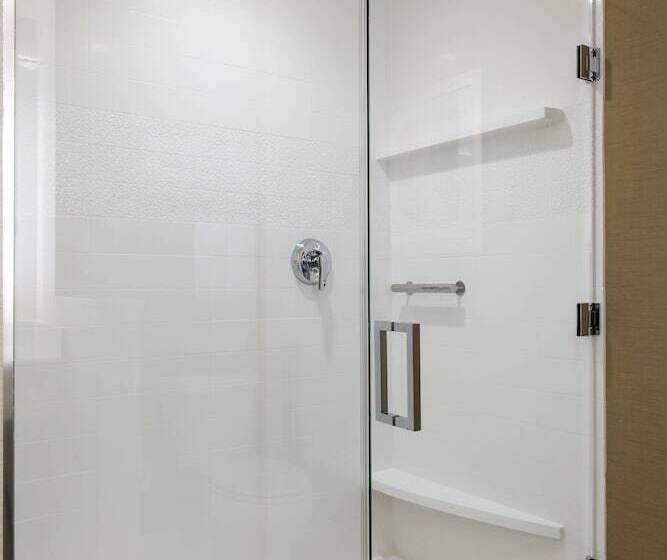 Люкс, Fairfield Inn & Suites By Marriott San Diego North/san Marcos