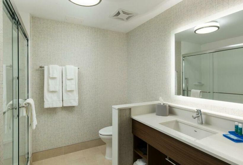 스탠다드 룸 킹사이즈 침대, Holiday Inn Express Visalia Sequoia Gateway Area, An Ihg