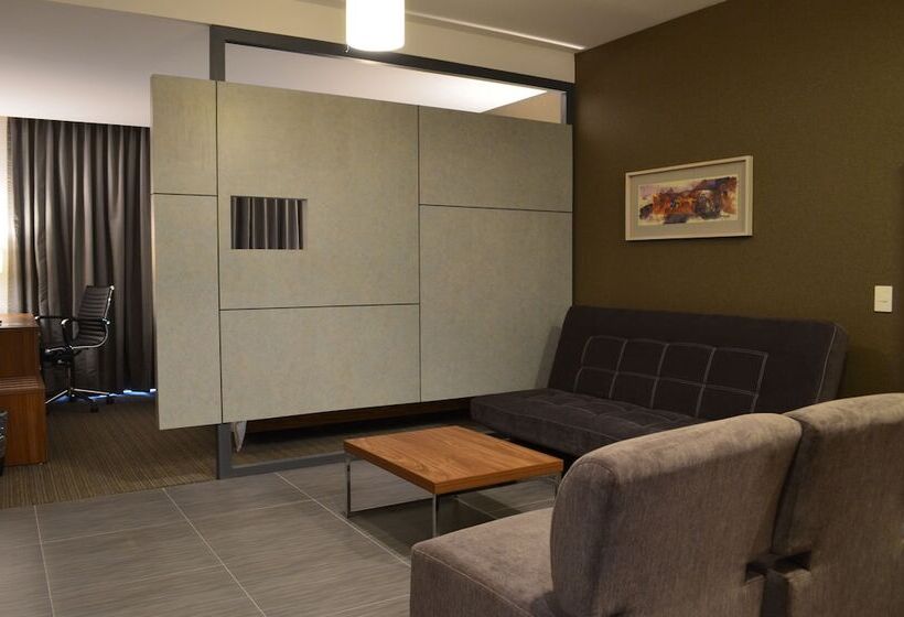 ジュニアスイート, Casa Inn Business Irapuato
