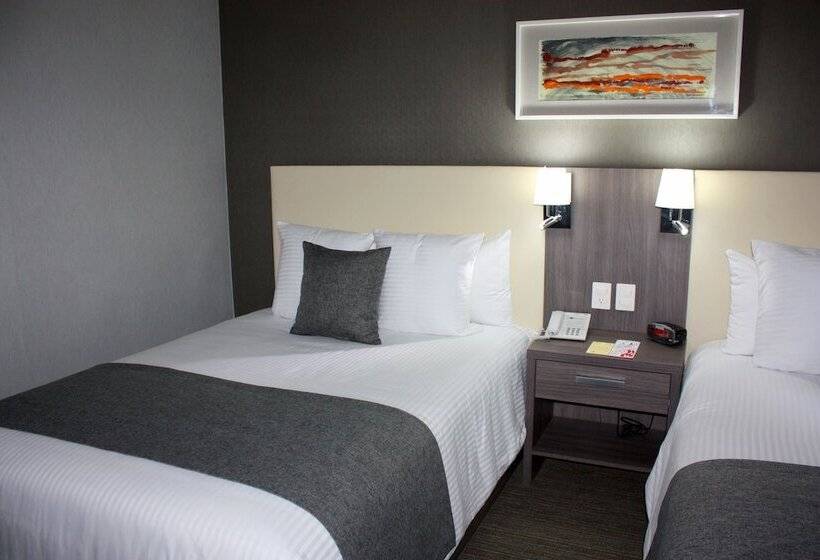 スタンダードルーム, Casa Inn Business Irapuato
