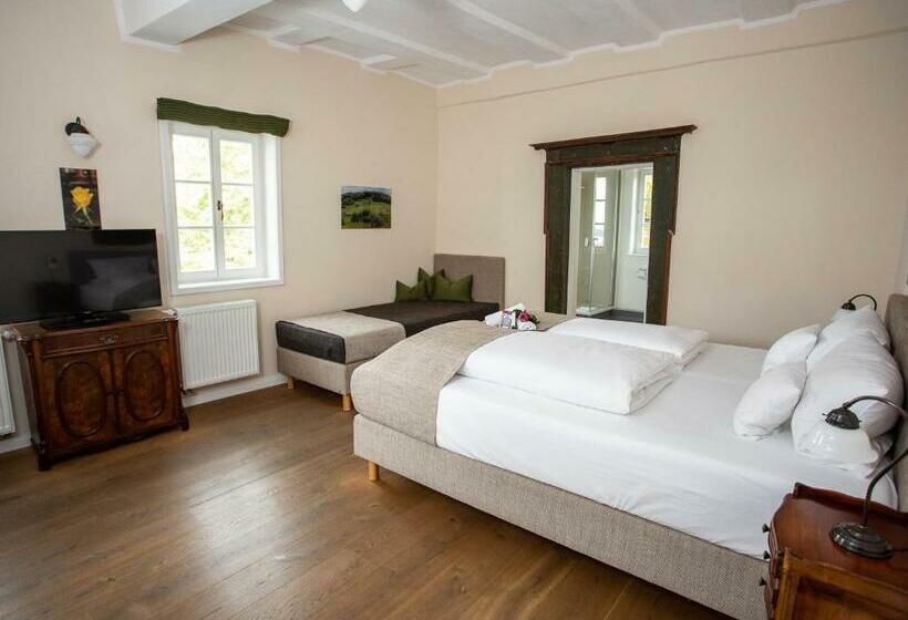 Полулюкс, Altstadthotel Treysa