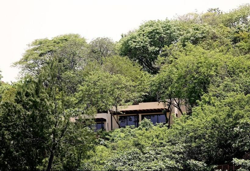 اتاق لوکس با تخت بزرگ, Las Flores Resort