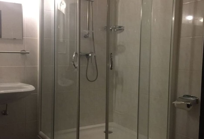Номер Комфорт Индивидуальный, Zip Hotel Lingenfeld