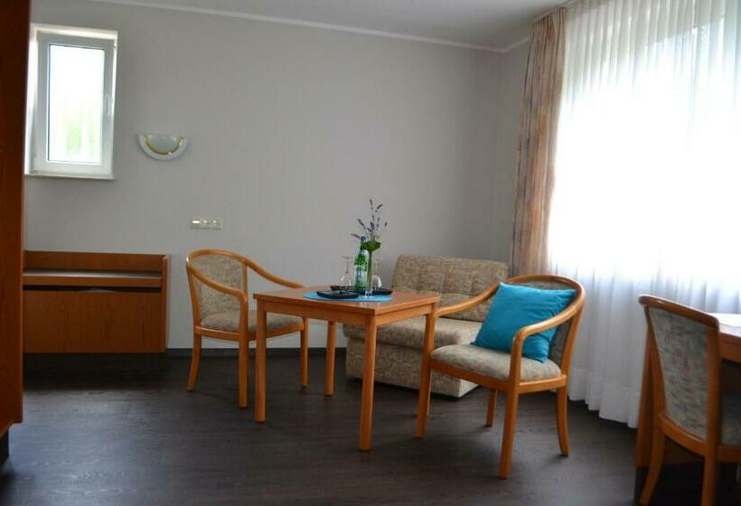Номер Стандарт, Aparthotel Sprendlingen