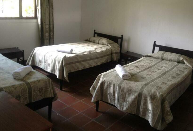 Quarto Triplo Estandar, Tacuara