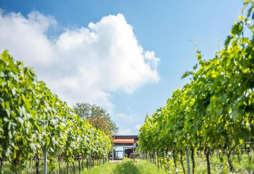 スイート, Valdonica Winery Fine Dine & Wine