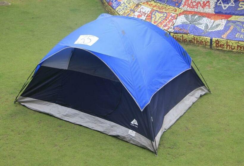 Standard Tent, Rocking J's