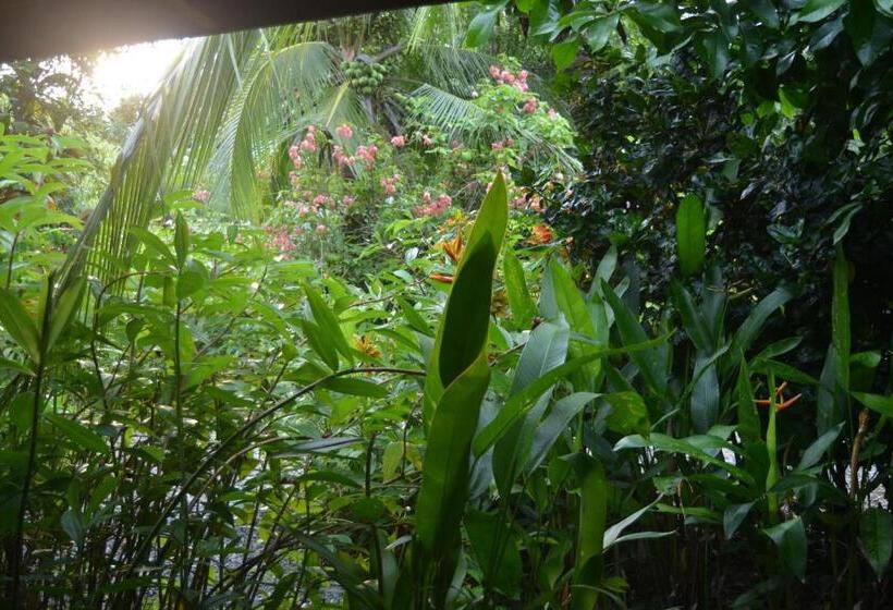 בית, 3 חדרי שינה, Indigo Yoga Surf Resort