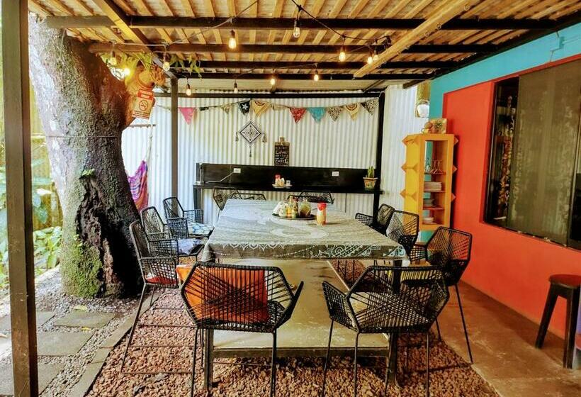 Quarto Standard Casa de Banho Partilhada, Casajungla Hostel