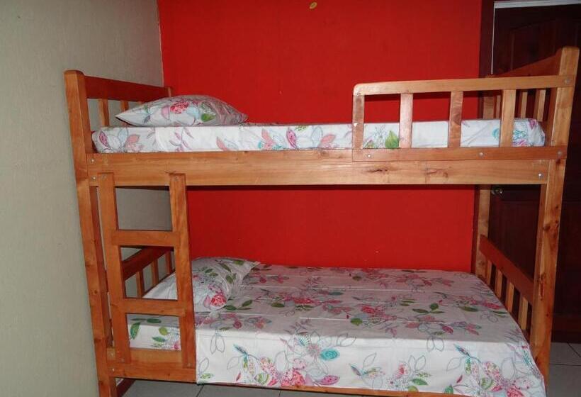 Кровать в Общей Комнате, & Hostel Sloth Backpackers