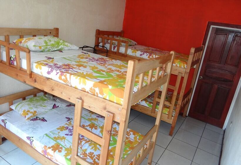 Кровать в Общей Комнате, & Hostel Sloth Backpackers