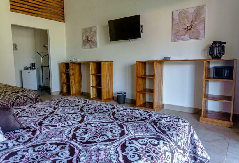 Номер Superior, Casa Buenavista   Adults Only