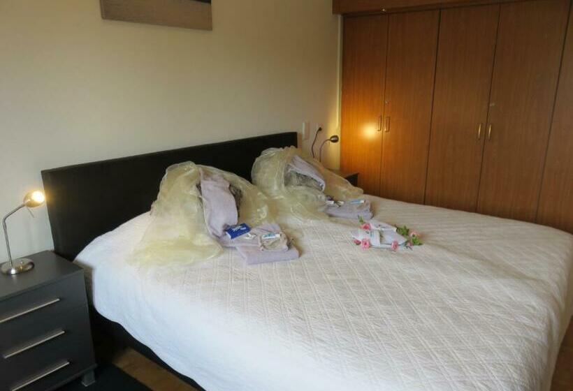 标准间, Rene's B&b