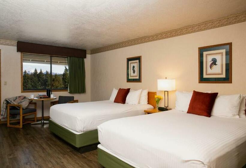 高级大房间, Timbers Motel