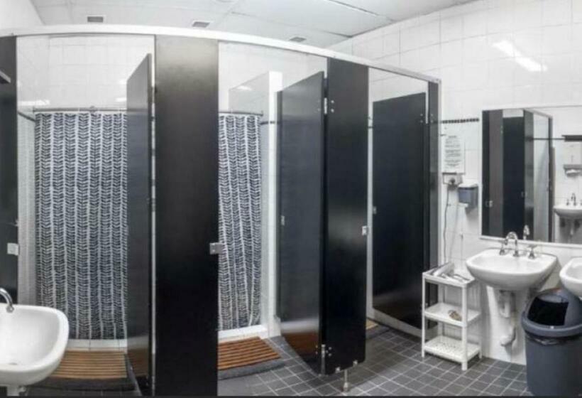 공동 객실, Big Backpackers Hostel