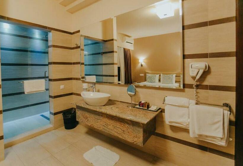 اتاق استاندارد, Romanita