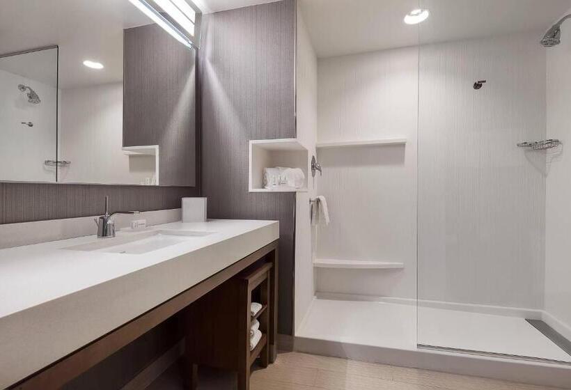 장애인을 위한 스탠다드 룸, Courtyard By Marriott Ardmore
