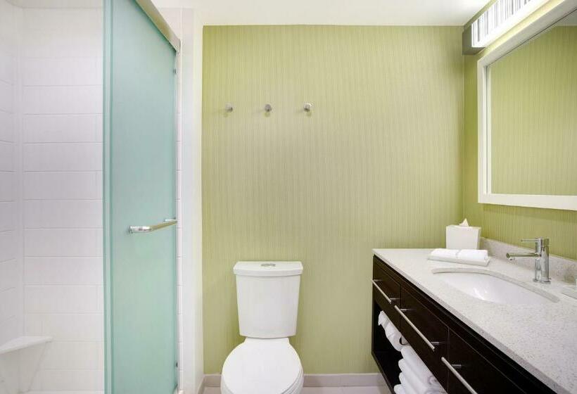 Standard Stúdió Szoba, Home2 Suites By Hilton Chicago/schaumburg, Il