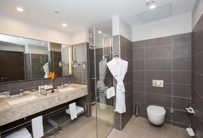小型套房, Radisson Blu Hotel, Abidjan Airport