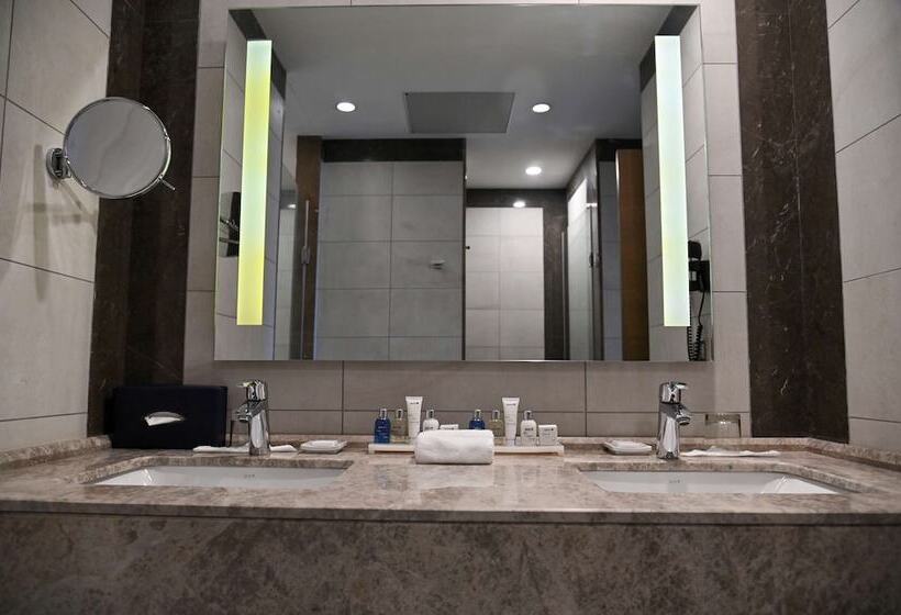 总统套房, Radisson Blu Hotel, Abidjan Airport