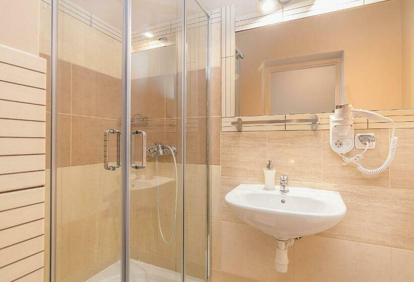 Одноместный Номер Basic, Willa Kłodzko Zacisze   Sauna   Siłownia   Komnata Solna