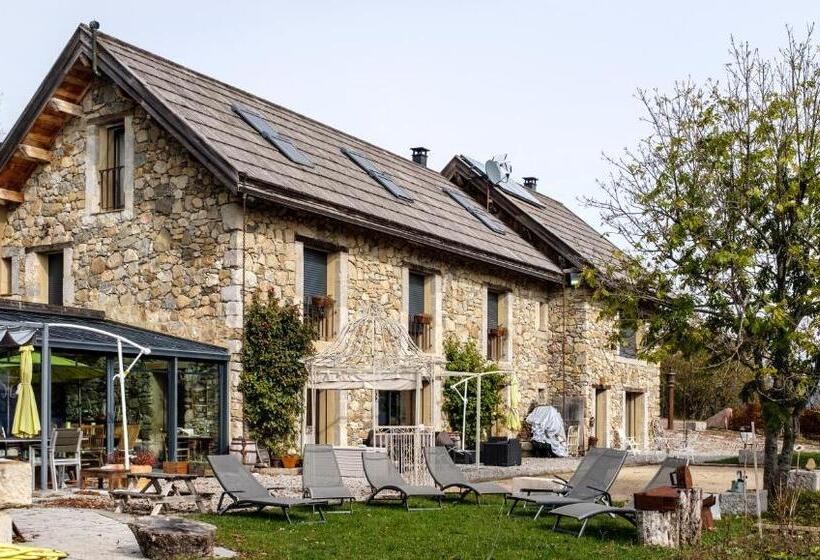 Номер Стандарт, Château Serigues