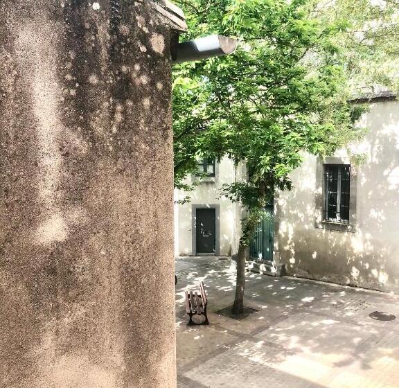 スタンダードルーム, Les Florentines