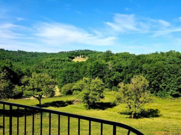 Студио Стандарт с Террасой, Domaine De La Rhonie