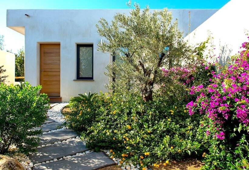 سوئیت پریمیوم, Cala Di Greco