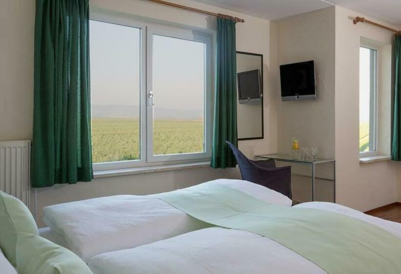 Номер Стандарт Индивидуальный, Eurostrand Resort Moseltal