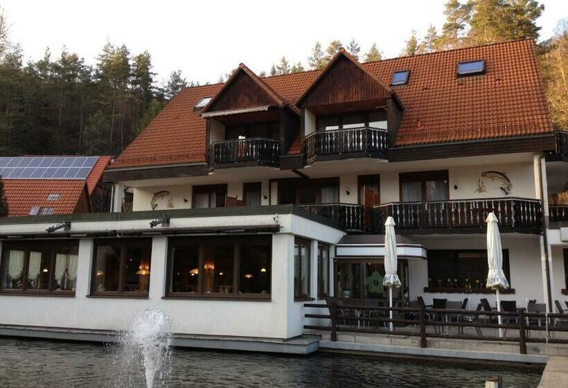 Номер Стандарт с Балконом, Gästehaus Forellenhof