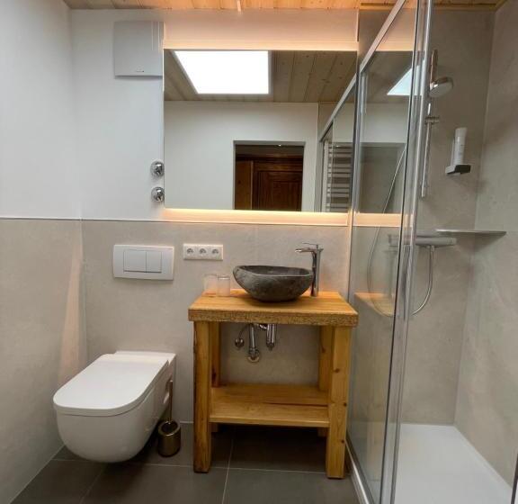 Апартаменты 1 Спальня с Балконом, Landhaus Kossel