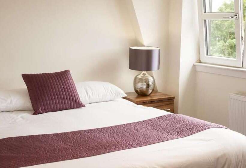 Camera Standard, The Birchtree