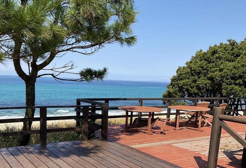 Номер Стандарт, Marine Blue Yakushima