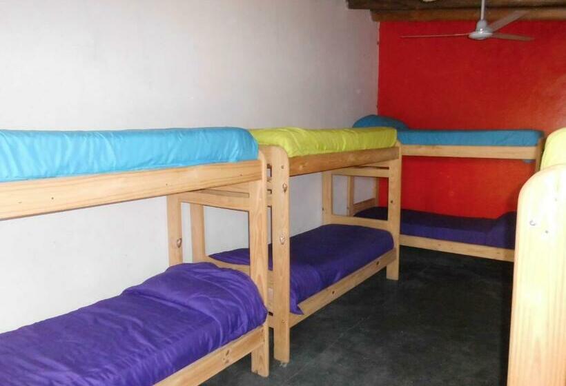 تختخواب در اتاق مشترک, Shanti Hostel