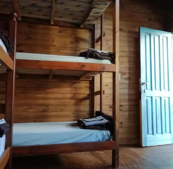 标准平房, Zeppelin Art Hostel