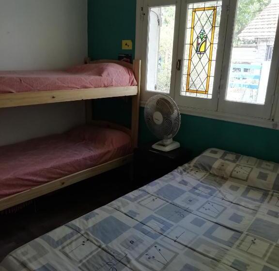 园景标准四人间, Zeppelin Art Hostel