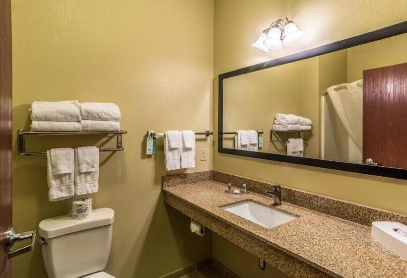 Люкс Кровать Кинг, Cobblestone Hotel & Suites   Harborcreek