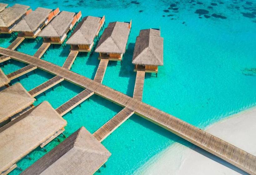 ویلای 1 خوابه, Kudafushi Resort & Spa