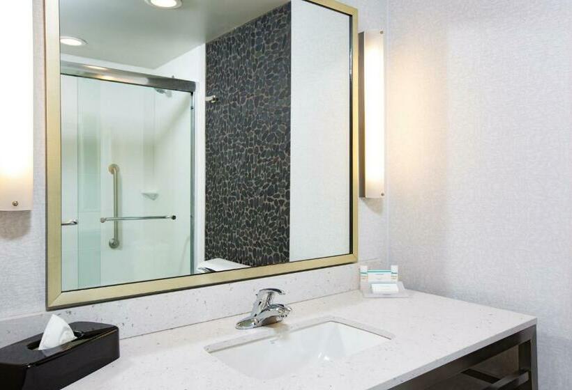 스탠다드 룸 킹사이즈 침대, Hilton Garden Inn Olympia