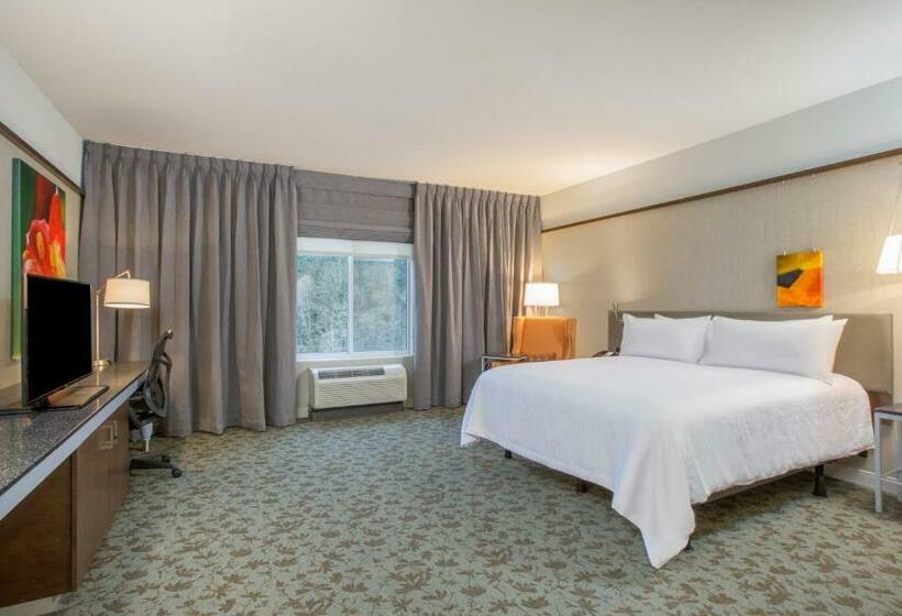 장애인을 위한 킹사이즈 침대 스탠다드 룸, Hilton Garden Inn Olympia