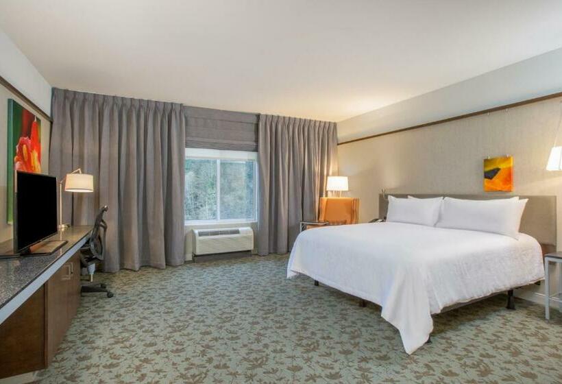 장애인을 위한 킹사이즈 침대 스탠다드 룸, Hilton Garden Inn Olympia