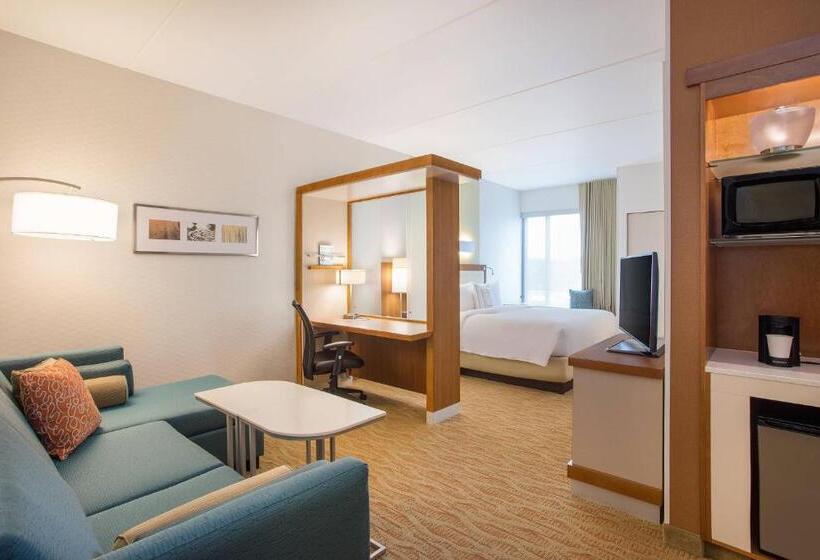 스위트 킹사이즈 침대, Springhill Suites By Marriott Mount Laurel