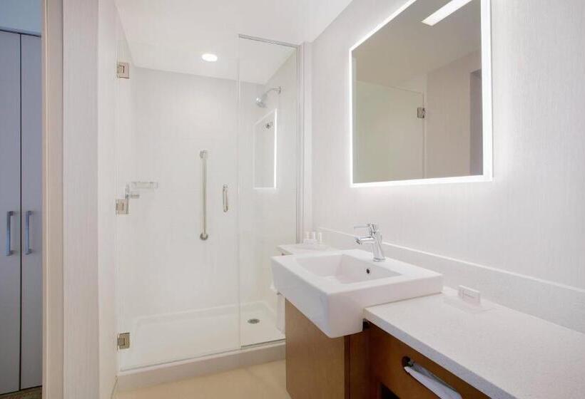 디럭스 룸, Springhill Suites By Marriott Mount Laurel