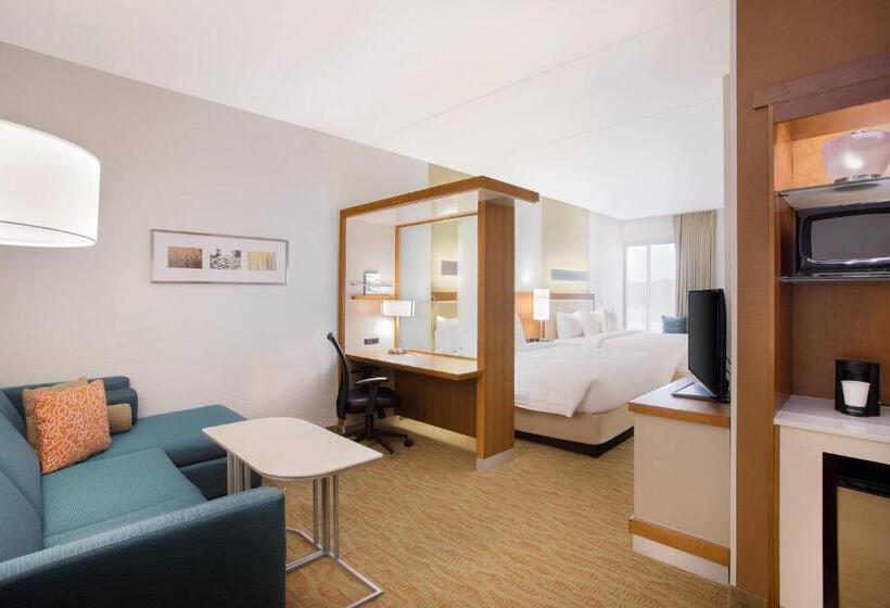 デラックスルーム, Springhill Suites By Marriott Mount Laurel